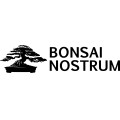 Visitar Bonsai Nostrum